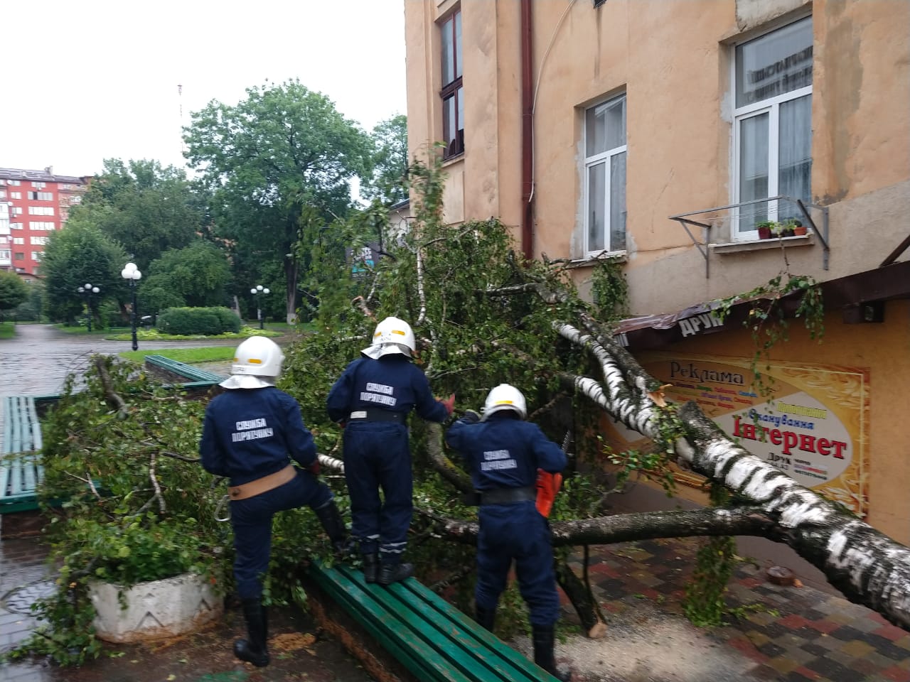 В Івано-Франківську через сильний вітер і зливи падали дерева: одне впало на під'їзд